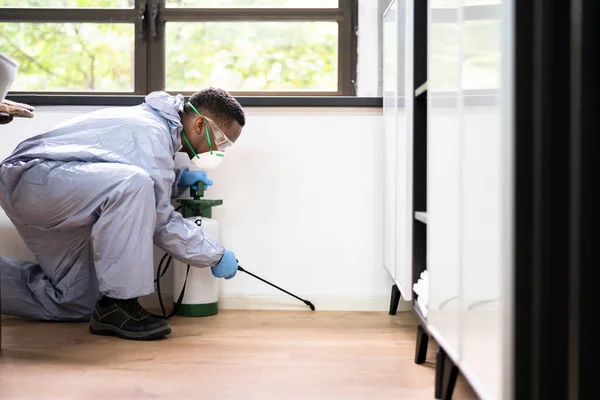 Hubitel Škůdců Man Sprejování Termit Pesticid Kanceláři — Stock fotografie