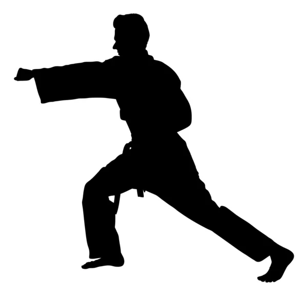 Silhouette Mann, der Kampfkunst ausübt — Stockvektor