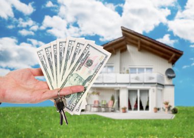 Ev karşı Doları notlar