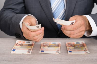 İş adamı para sayıyor