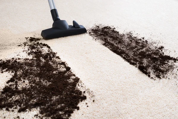 Vacuum Cleaner Cleaning Carpet — Stock Photo, Image