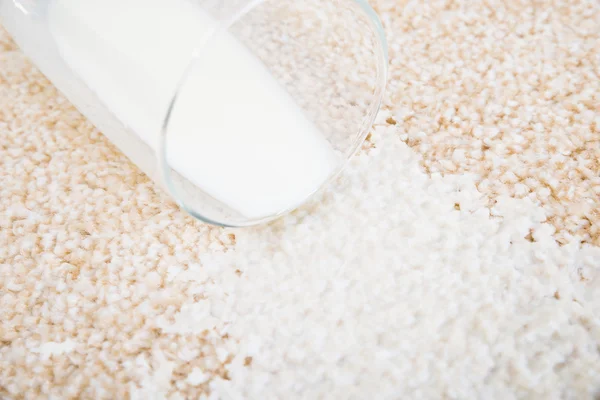 Milk Spilled On Carpet — Stock Photo, Image