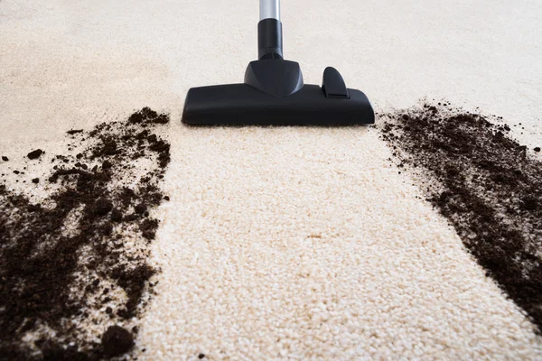 Vacuum Cleaner Cleaning Carpet — Stock Photo, Image