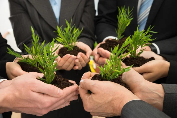 Geschäftsleute mit Pflanzen und Erde — Stockfoto