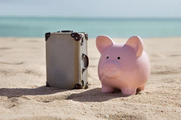 Suitcase And Piggy Bank — Stock Photo, Image