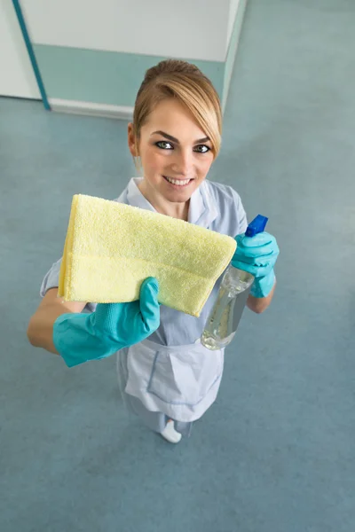 Maid Cleaning With Cloth — Stock Photo, Image