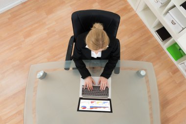 İşkadını finansal verileri üzerinde çalışma