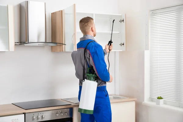 Worker Spraying Insecticide On Shelf — Stock Photo, Image