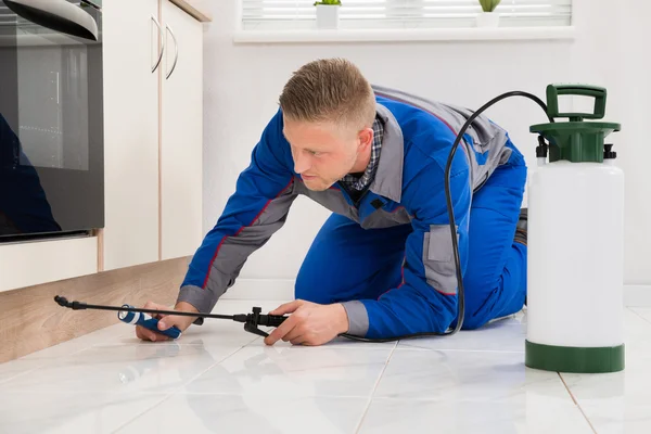 Male Worker Spraying Pesticide On Cabinet — Stock Photo, Image