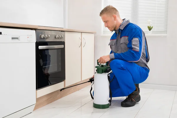 Pesticide pulvérisation homme dans la salle de cuisine — Photo