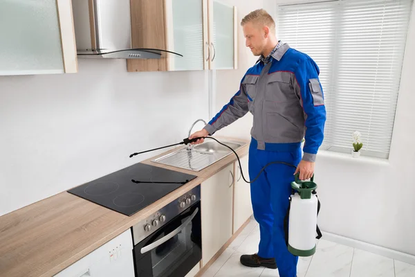 Worker Spraying Pesticide On Induction Hob — Stock Photo, Image