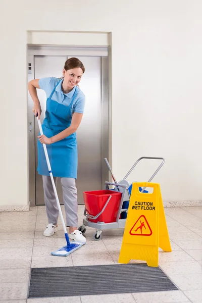 Worker With Cleaning Equipments