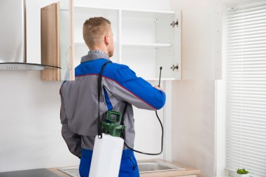 Çalışan böcek ilacı püskürtme raf