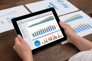 Görüntülenen mali istatistik analiz kişi