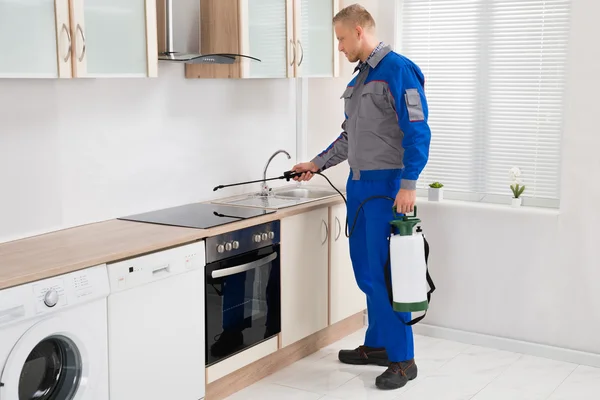 Pest Control arbetare besprutning bekämpningsmedel på induktionshäll — Stockfoto