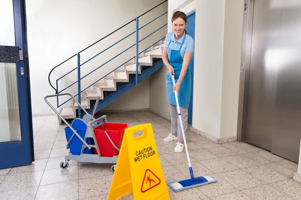 Vrouwelijke werknemer met reinigingsapparatuur — Stockfoto