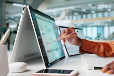 Dijital Laptop 'taki muhasebe yazılımını kullanarak Elektronik Faturalama Yöneticisi İş kadını. Mali İşler Müdürü