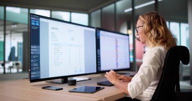 Maaş Muhasebe Denetleme Müdürü. Muhasebeci Doğruluğu Sağlama.