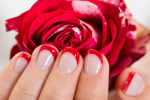 Unha cuidada com verniz de unhas segurando Rose — Fotografia de Stock