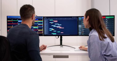 Kadın Analist ve Erkek Yönetici Ofis Proje Programında İşbirliği Yapıyor.