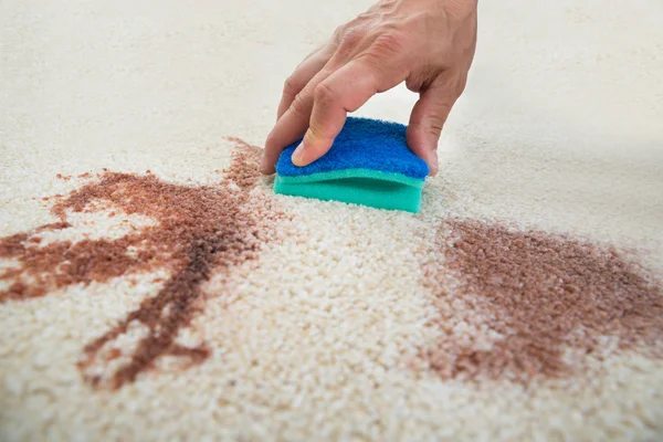 Hombre limpieza mancha en la alfombra con esponja — Foto de Stock