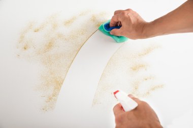 Erkek hademe temizlik Counter