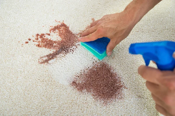 Mann reinigt Flecken auf Teppich mit Schwamm — Stockfoto