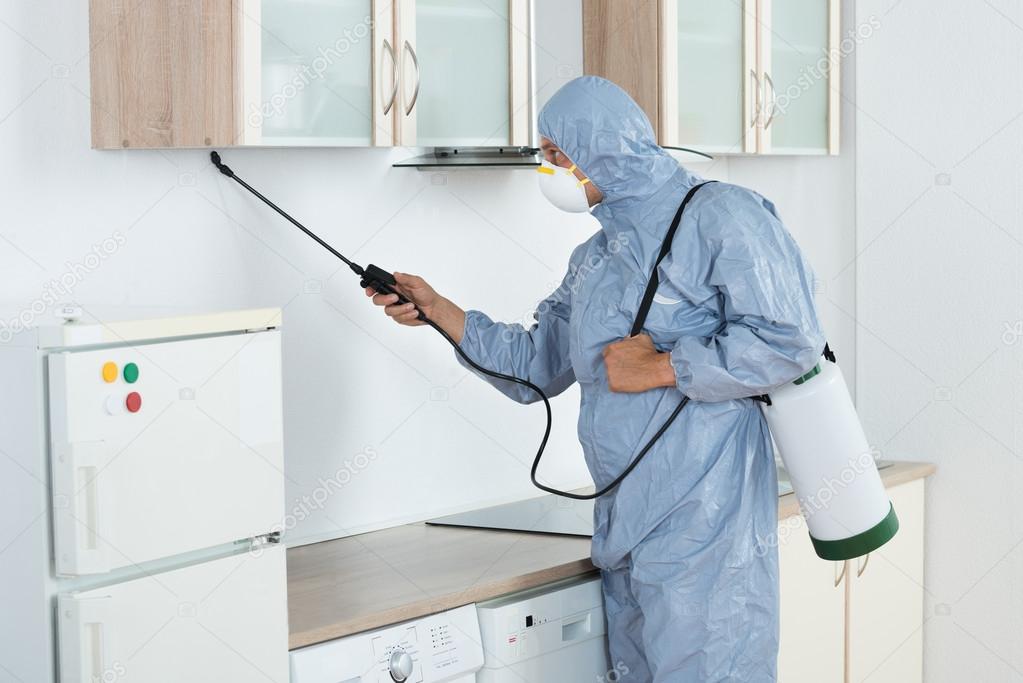 Exterminator In Spraying Pesticide In Kitchen