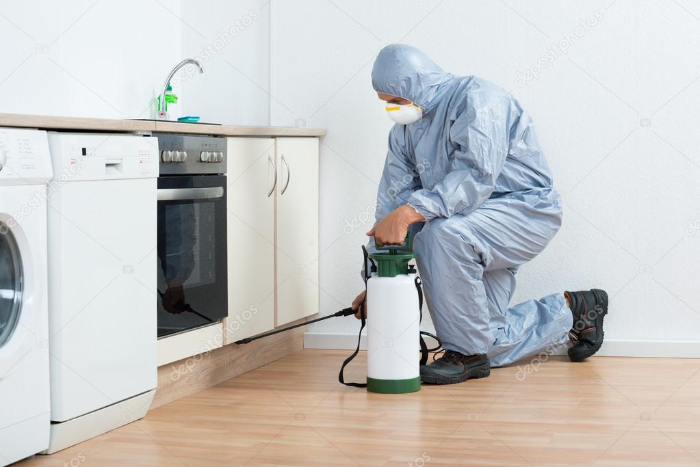 Exterminator Spraying Pesticide On Wooden Cabinet