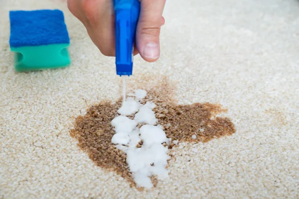 Man Cleaning Stain On Carpet — Stok Foto