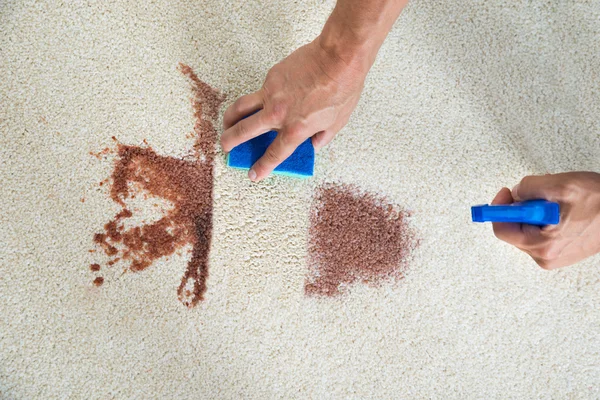 Hombre limpieza mancha en la alfombra con esponja — Foto de Stock