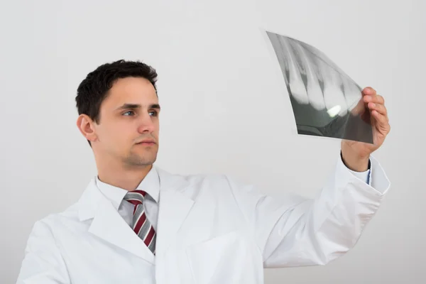 Dentista masculino examinando rayos X dentales — Foto de Stock