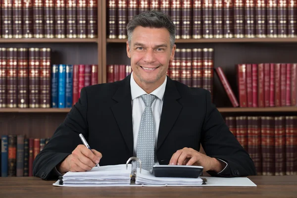 Accountant Writing On Document — Stock Photo, Image