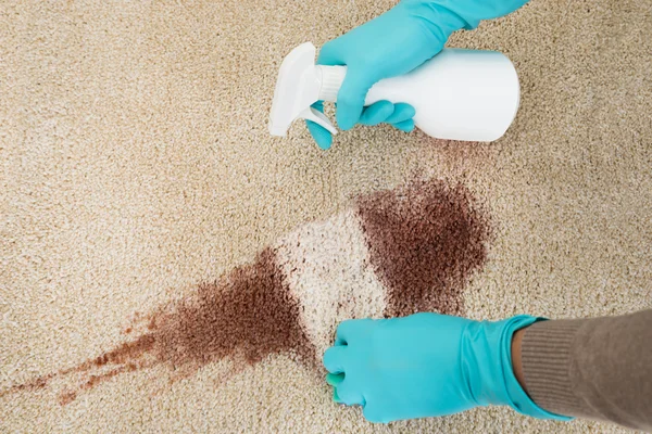 Man Cleaning Red Wine On Rug — Stock Photo, Image