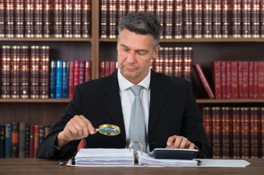 Muhasebeci mali Office belgelerinde Scrutinizing