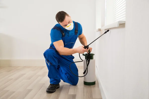 Arbeiter versprüht Pestizid an Fensterecke — Stockfoto