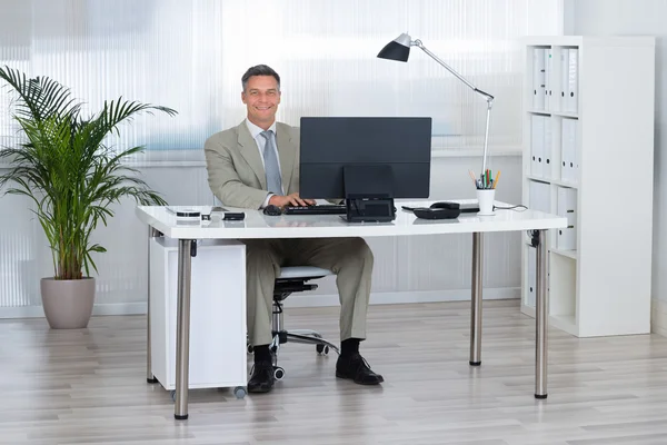Homme d'affaires souriant utilisant un ordinateur — Photo