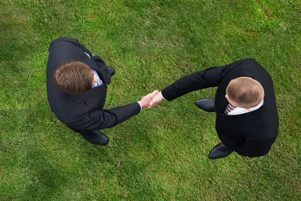 Empresários tremendo mãos no campo gramado — Fotografia de Stock