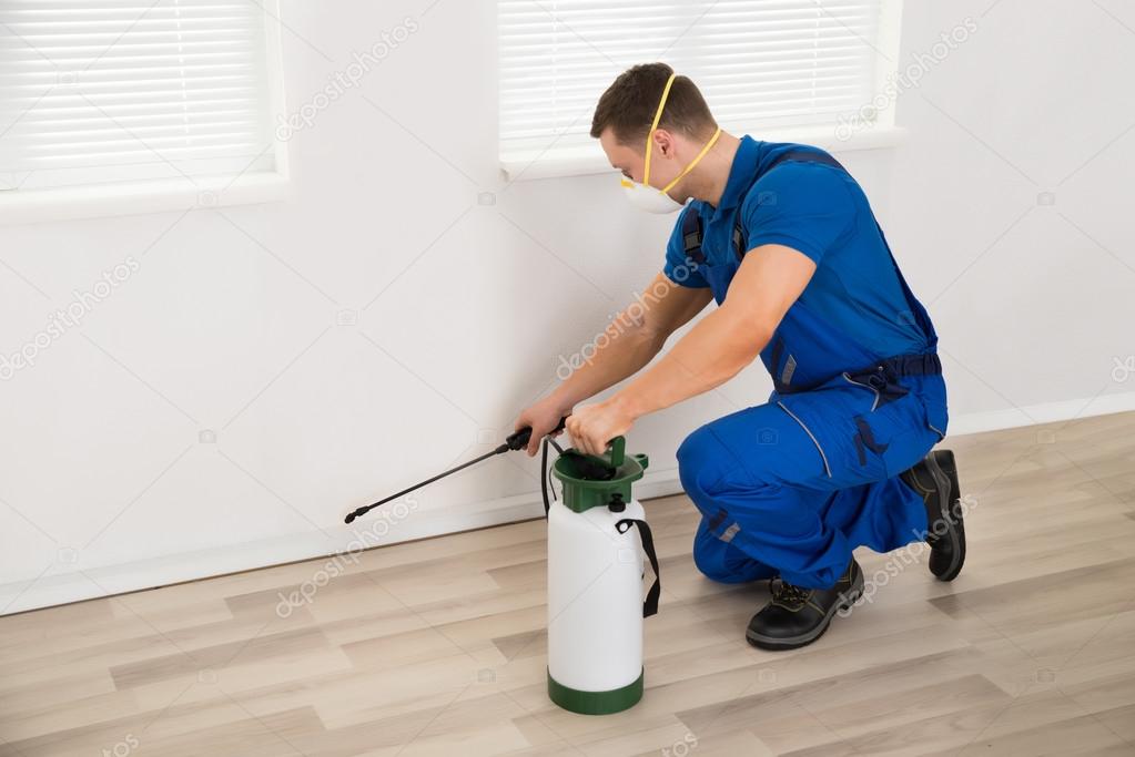 Worker Spraying Pesticide