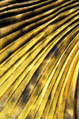 altın kumaş dokusu arkaplanı