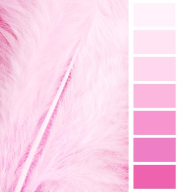 veer verenkleed roze kleur grafiek selectie voor interieur