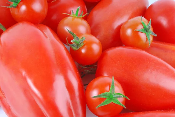 Close up of the tomato — Stock Photo, Image