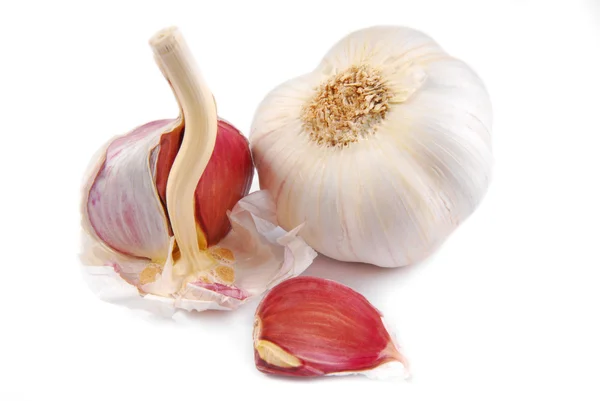 Garlic isolated on white — Stock Photo, Image