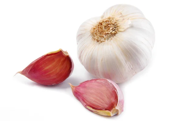 Garlic isolated on white — Stock Photo, Image