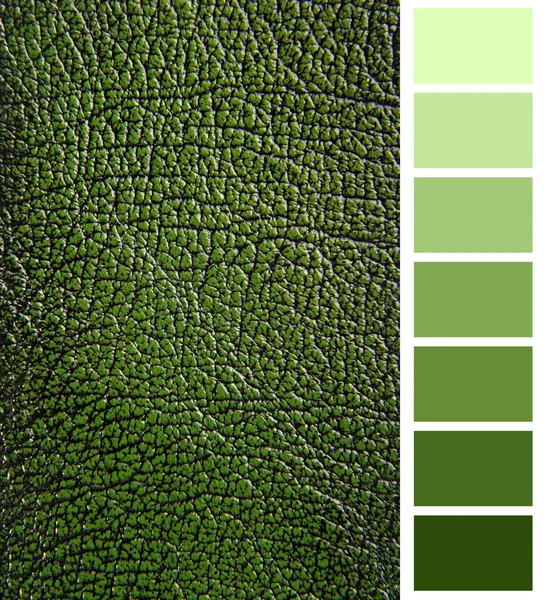 Grafico gratuito di colore verde cuoio — Foto Stock