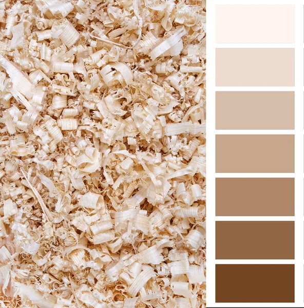 Grafikkarte beige Farbe — Stockfoto