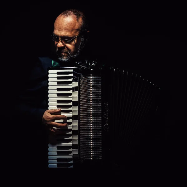 Dallape Accordion From Italy — Stock Photo, Image