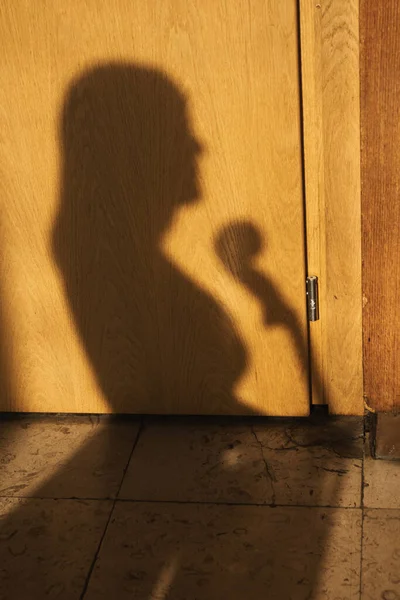 Silhueta Uma Menina Com Violoncelo Uma Superfície Madeira — Fotografia de Stock