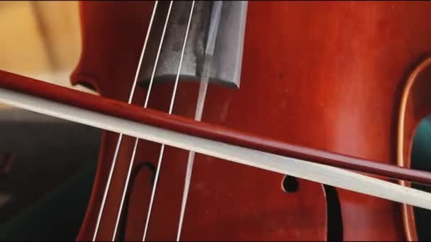 Bogen Und Cello Details Ausdrucksstarken Spiels — Stockvideo