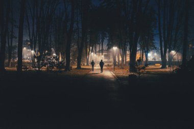 Sonbaharda şehir parkından gece sahnesi.